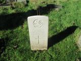 image of grave number 679667
